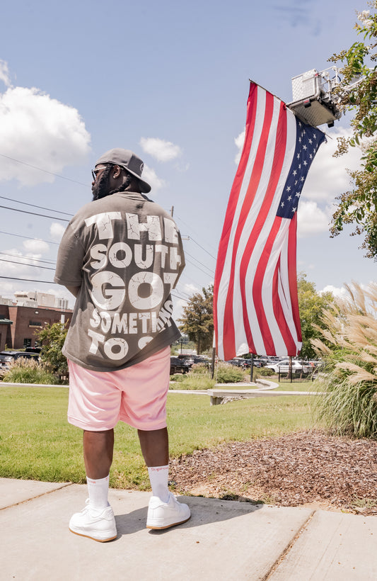 COTTON FIELD HILLS MILITIA / SOUTH GOT SOMETHING TO SAY TEE (GREY)